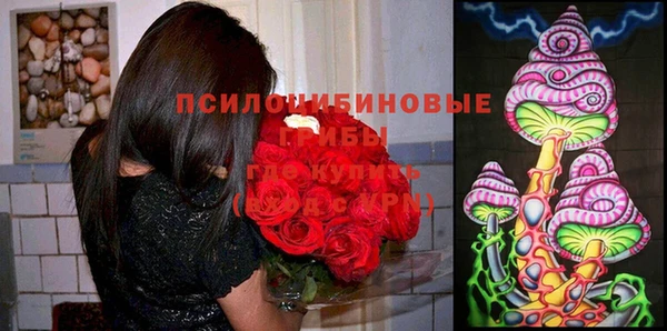 прущий лед Беломорск