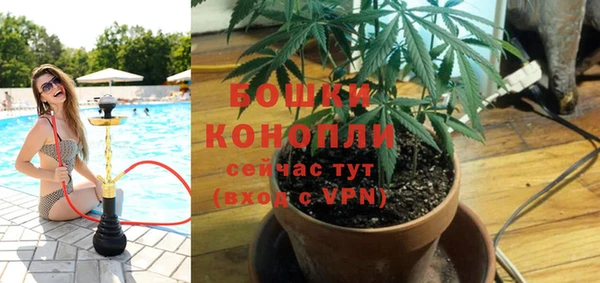 бутират Белокуриха