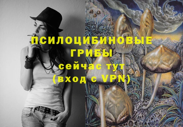 бутират Белокуриха