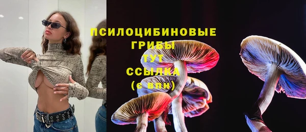 прущий лед Беломорск