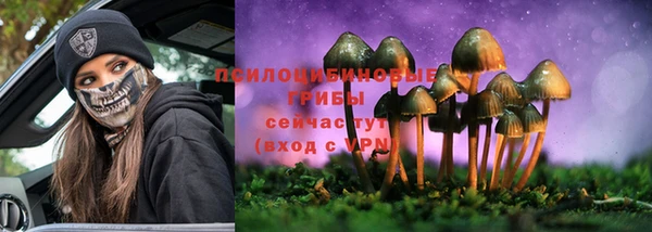 бутират Белокуриха
