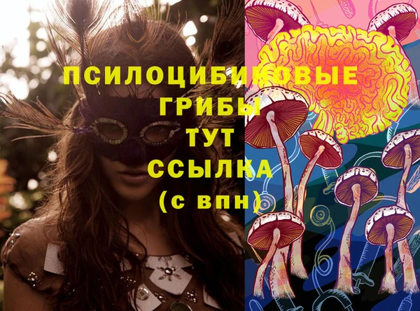 бутират Белокуриха