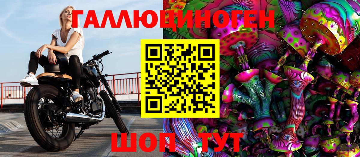 Псилоцибиновые грибы GOLDEN TEACHER Горно-Алтайск