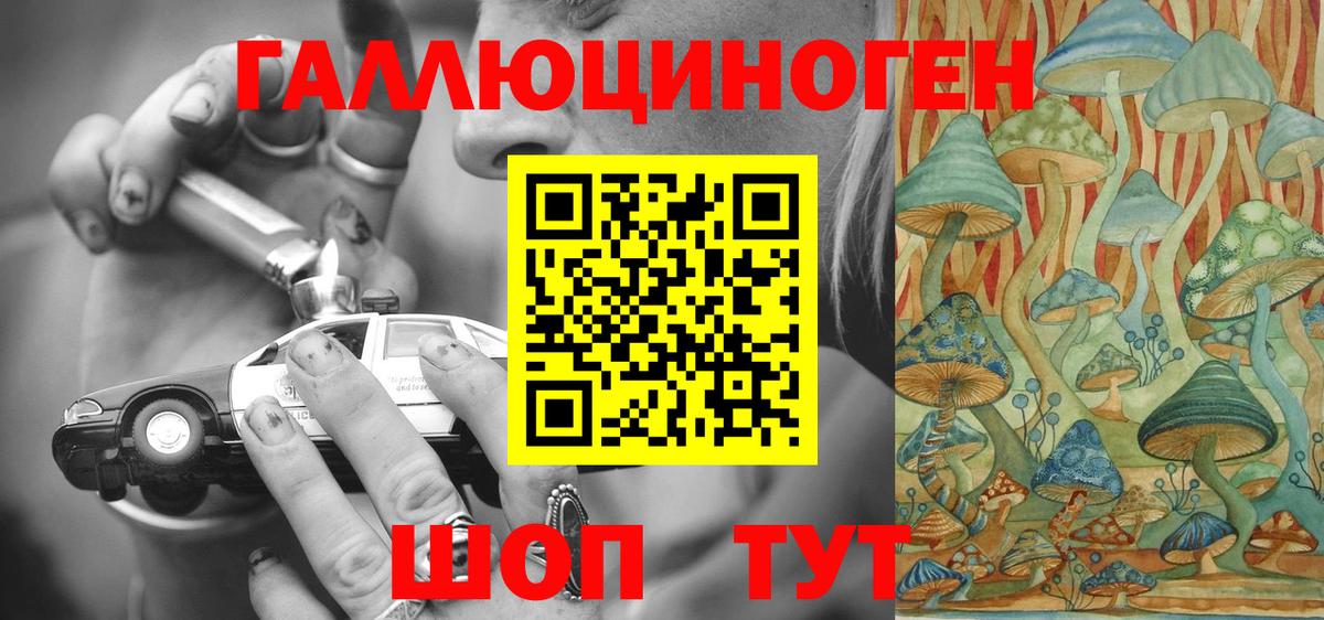 Горно-Алтайск  Галлюциногенные грибы мицелий  Вход с VPN 